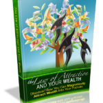 Law of Attraction and Wealth